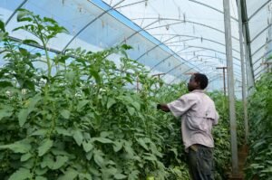Små och medelstora företag i Zambia stärks av Swedfunds nya plattform