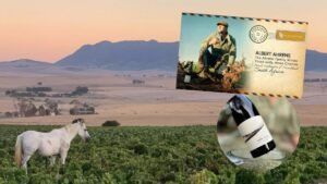 Ny sydafrikansk stjärnproducent till Ward Wines – Ahrens Family Winery lanseras i Sverige