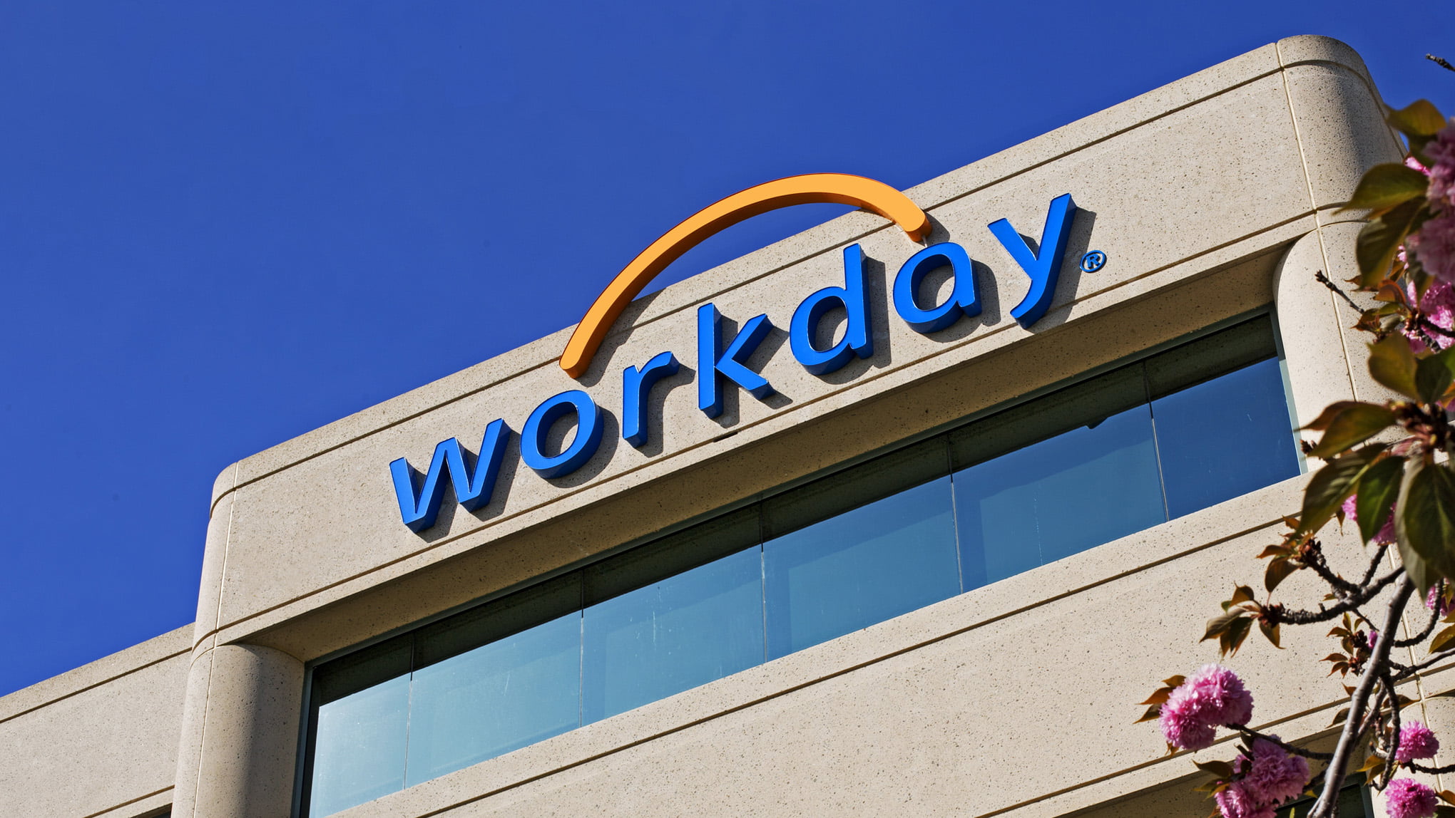 Workday – utbildnings och planeringsverktyg för personal- och finanssystem