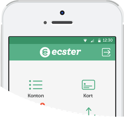 Ecster och Wikinggruppen utökar sitt samarbete genom ett komplett e-handelserbjudande helt utan startavgifter