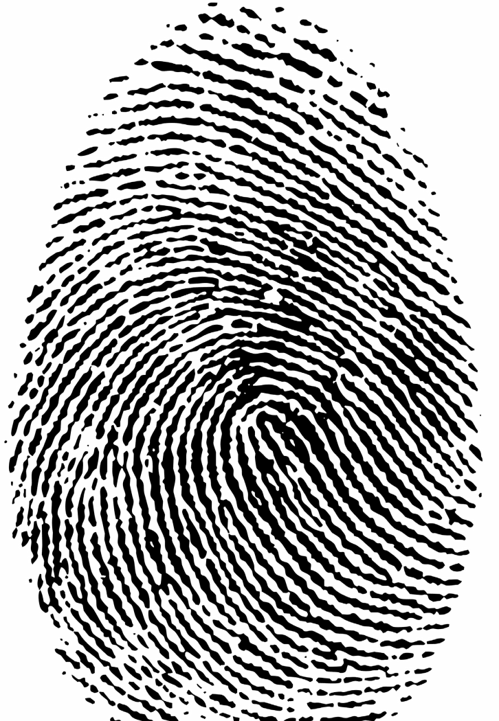Biometrisk autentisering är på väg