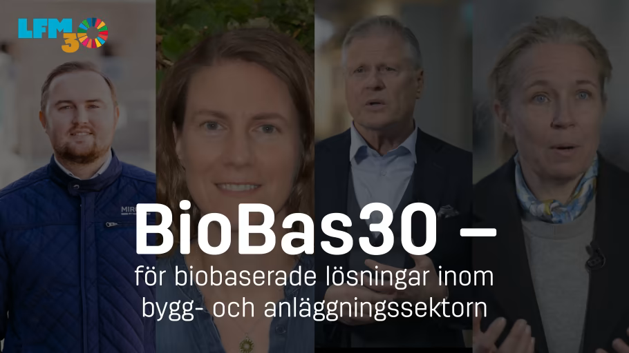 BioBas30 är ett treårigt tvärsektoriellt kluster som finansieras av Energimyndigheten.