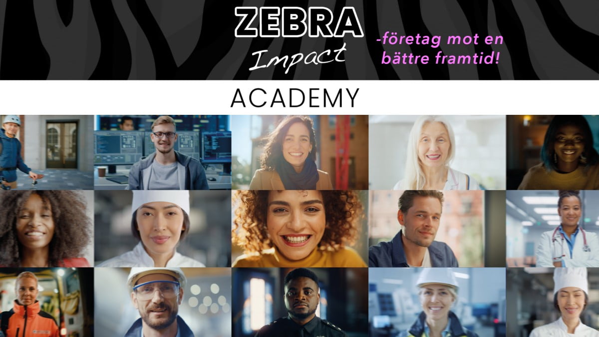 Zebra Impact Academy - acceleratorn för företagare som vill ta in investering för att skapa samhällsnytta