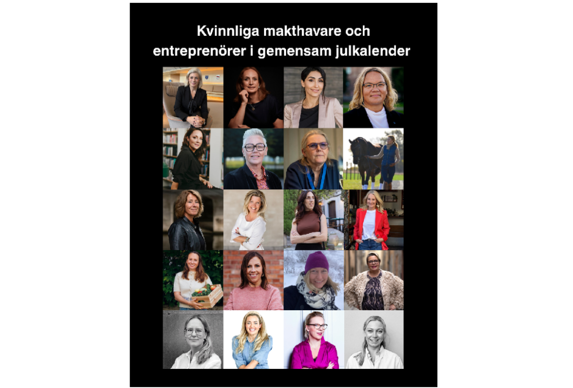 Julkalender lyfter ojämlikheten i näringslivet