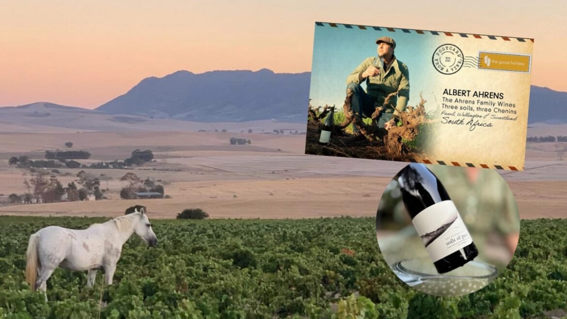 Ny sydafrikansk stjärnproducent till Ward Wines – Ahrens Family Winery lanseras i Sverige