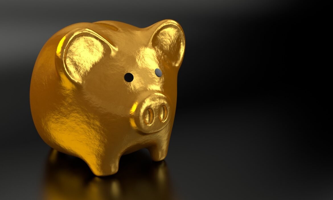 BLING Capital lanserar 100 MSEK fond