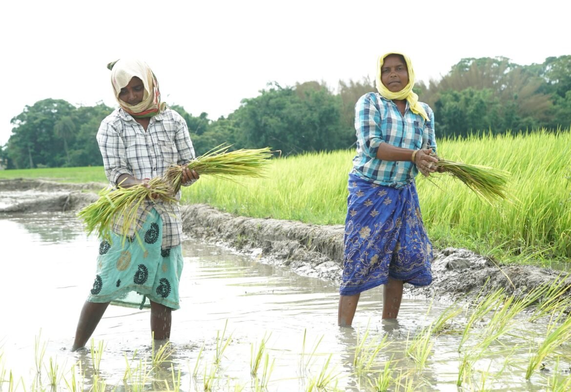 Swedfund investerar 35 miljoner USD för att stärka Indiens klimatomställning och motståndskraft